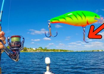 Girl Fishing Tiny Baits in Saltwater, Hooked a Monster!