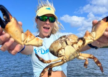 HOW TO Break Off a Stone Crab Claw, 3 Ways for Beginners
