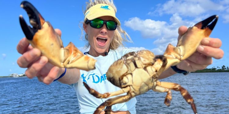 HOW TO Break Off a Stone Crab Claw, 3 Ways for Beginners