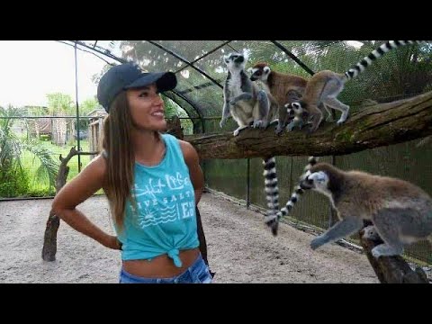 LEMUR Encounter at Giraffe Ranch