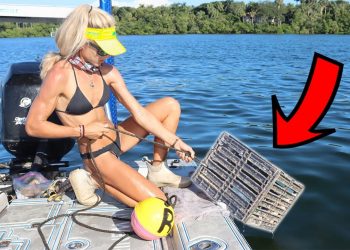 Massive Crabs in our Pots! New 2022 Catch & Cook