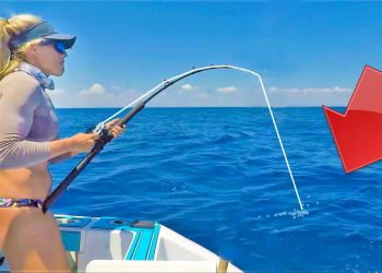 TOP 5 Catches of 2022! Biggest Offshore Fish