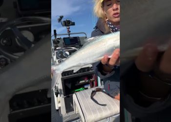 This Fish is the Fisherman’s Best Friend!
