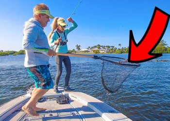 Unexpected Catch! Bucket List Fish With The Cheapest Bait. (catch & cook)