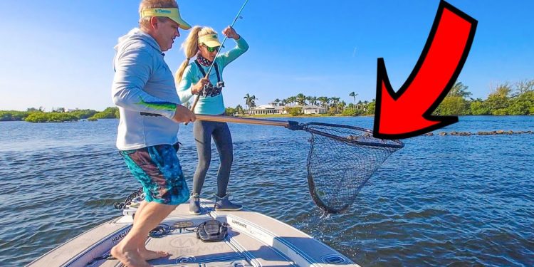 Unexpected Catch! Bucket List Fish With The Cheapest Bait. (catch & cook)