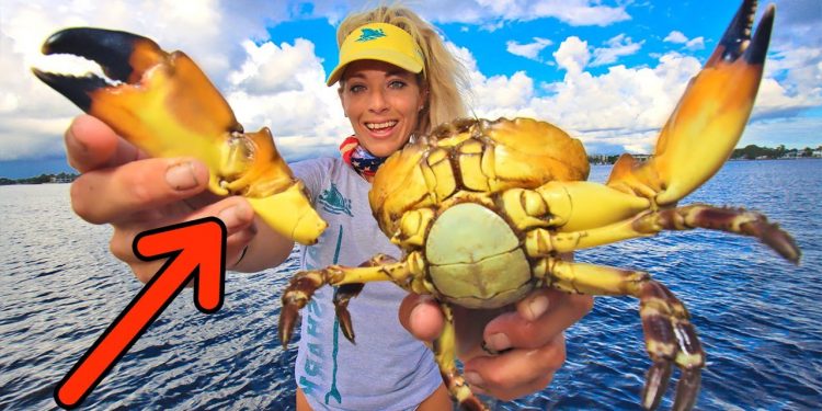 BREAKING Claws Off! Florida STONE CRABS How To First Pull of the Season!