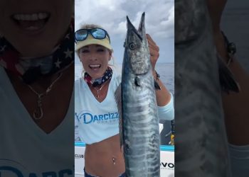 Best Bait for S. FL Wahoo!
