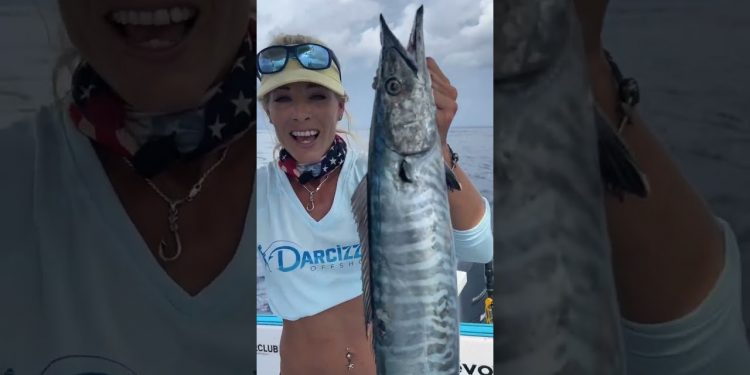 Best Bait for S. FL Wahoo!