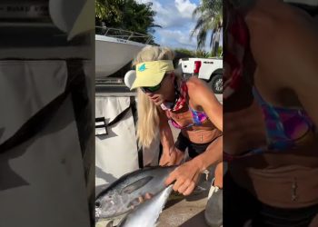 Best Trolling Baits!