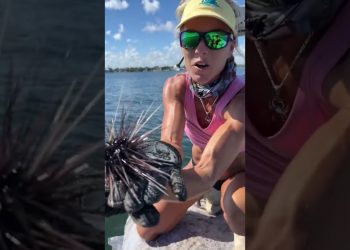Do NOT Step On This! Deadly Sea Urchin