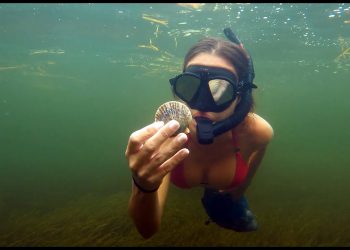 GIRLS Scalloping in Florida | PREVIEW