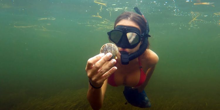 GIRLS Scalloping in Florida | PREVIEW