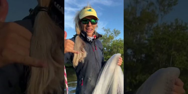 Girl Nets 500 Fish!