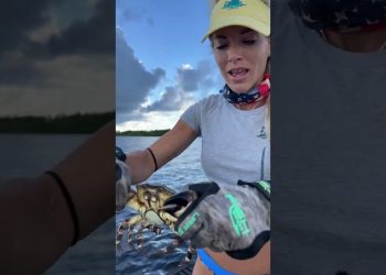 Girl Stone Crabbing!