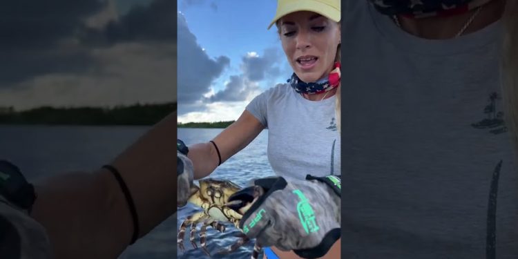 Girl Stone Crabbing!
