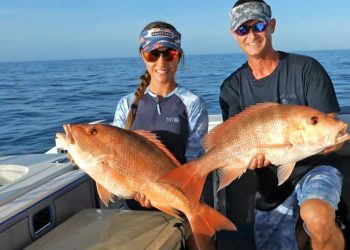 Grouper & Snapper Season in Florida