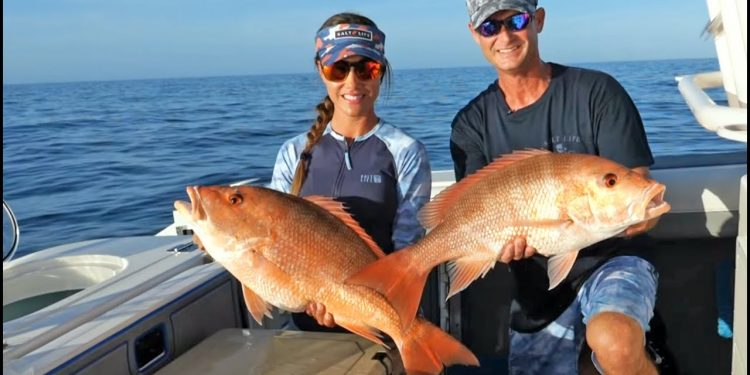 Grouper & Snapper Season in Florida