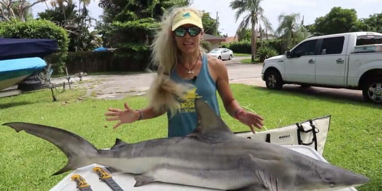 How to Fillet A Shark