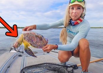 I Found An Endangered Sea Turtle, Then Tried to Save Her!
