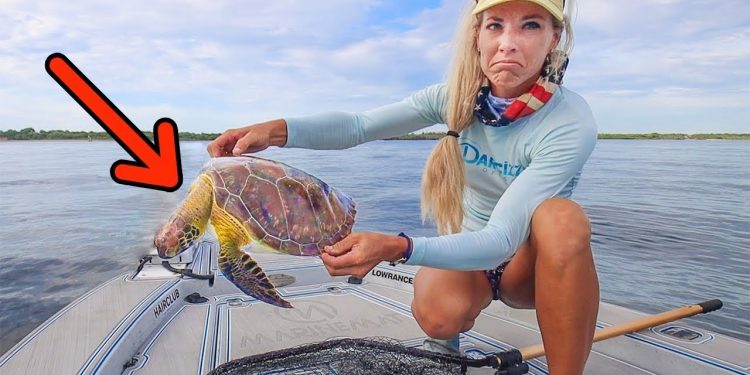 I Found An Endangered Sea Turtle, Then Tried to Save Her!