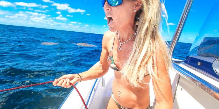 I SAVED A BOAT! Florida Offshore Multi-Species (Catch & Cook)