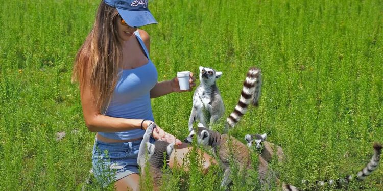 LEMUR Kayak Adventure | SAFARI Wilderness