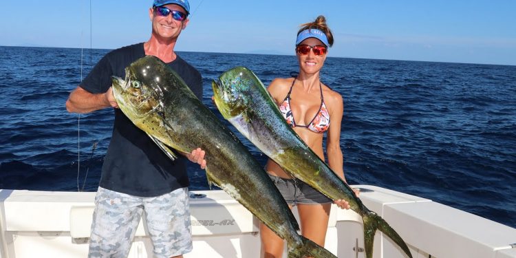 OFFSHORE FISHING for DOLPHIN