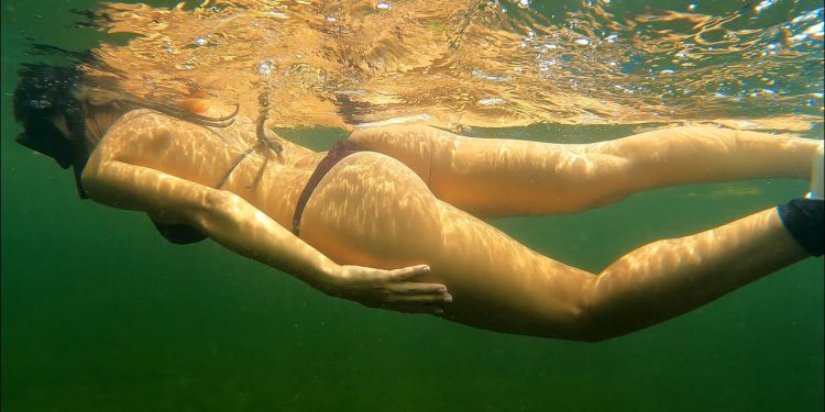 Scalloping the Nature Coast of Florida