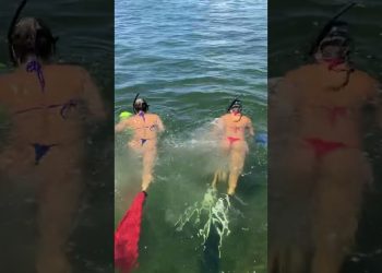 🧜‍♀️🧜‍♀️💦 Summertime in Florida