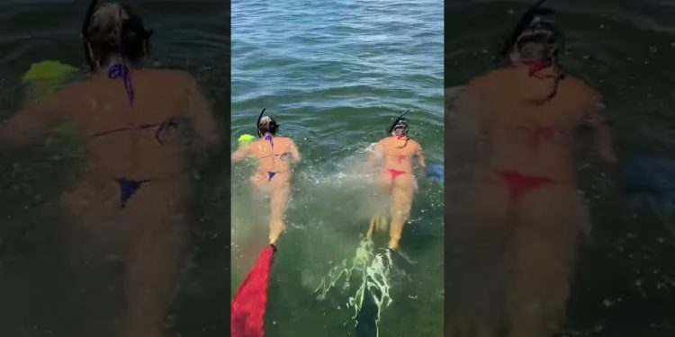 🧜♀️🧜♀️💦 Summertime in Florida