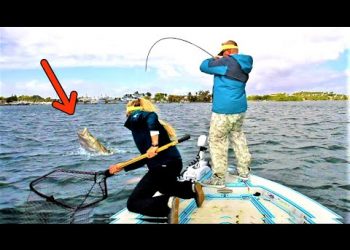 We Caught 30 Fish in 4 Hours after Hurricane Ian!