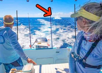 We Put 5 Lines Out and This Happened! Catch and Cook