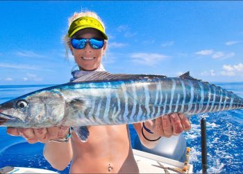 Would You Keep This Little Fish? Am I Too GREEDY? (Catch & Cook)