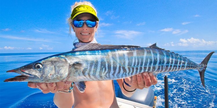 Would You Keep This Little Fish? Am I Too GREEDY? (Catch & Cook)