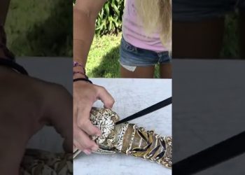 BEST Trick to Clean LOBSTER!
