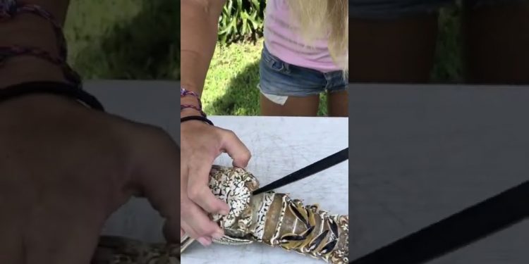 BEST Trick to Clean LOBSTER!