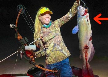 Bowfishing GIANT RIVER CATFISH Catch Clean Cook! *Lucky Shot!*