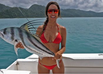 COSTA RICA Roosterfish PREVIEW