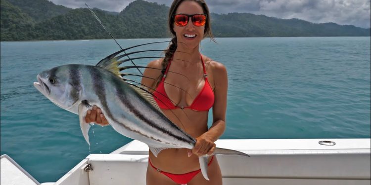COSTA RICA Roosterfish PREVIEW