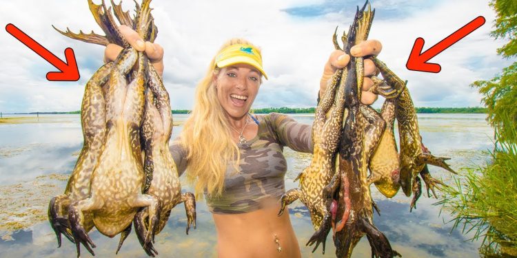 Giant Bullfrog Hunting with Gigging Spear! Catch & Cook
