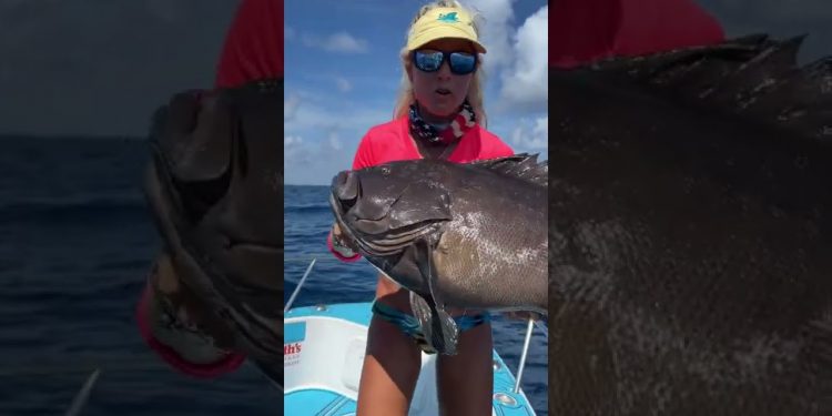 Girl Catches Massive Grouper!