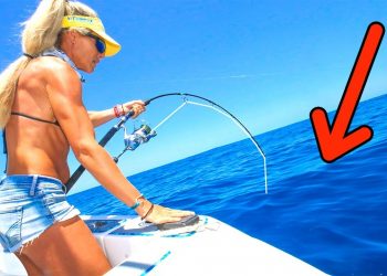 I Sent a Live Fish Out and Something Crazy Happened!