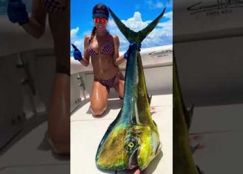I caught a MONSTER Fish !
