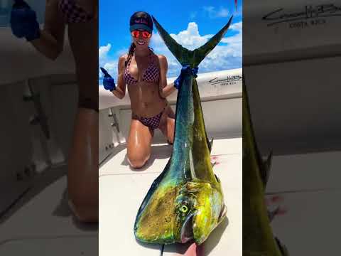 I caught a MONSTER Fish !
