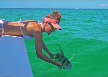 INSHORE fishing for roosterfish