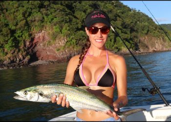 ISLAND Fish and Feast !