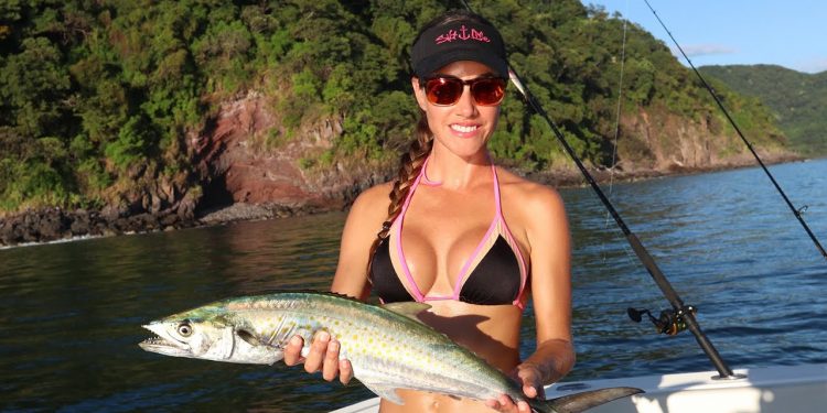 ISLAND Fish and Feast !