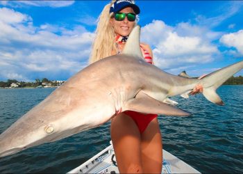 Incredible Results! Blacktip Shark Catch & Cook