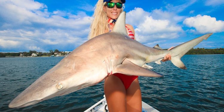 Incredible Results! Blacktip Shark Catch & Cook