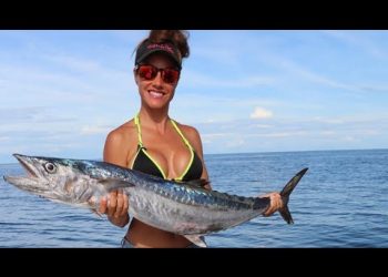 KINGFISH, GROUPER & MORE! Fishing in FLORIDA